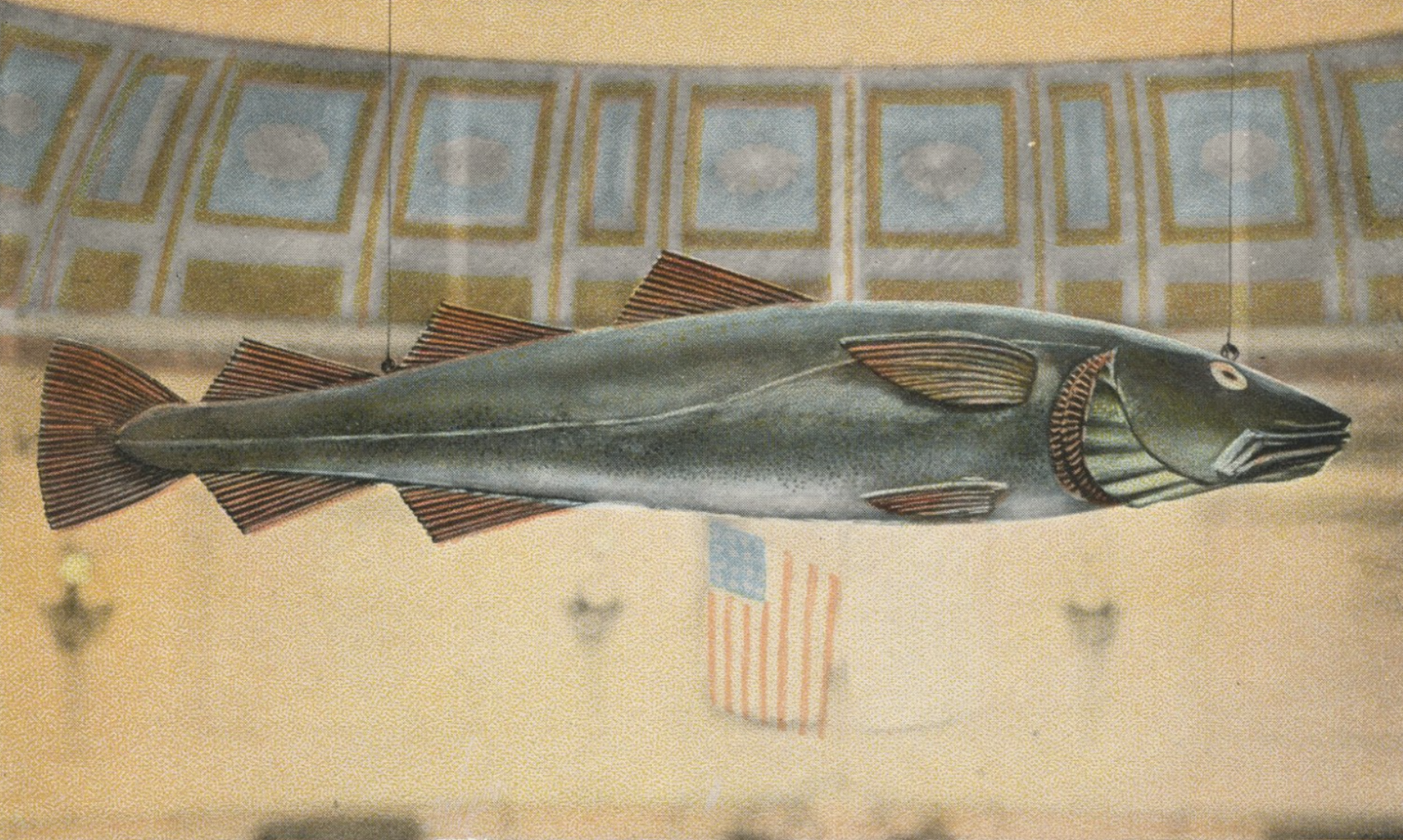 Codfish in Cape Cod lore — Historical Society of Old Yarmouth